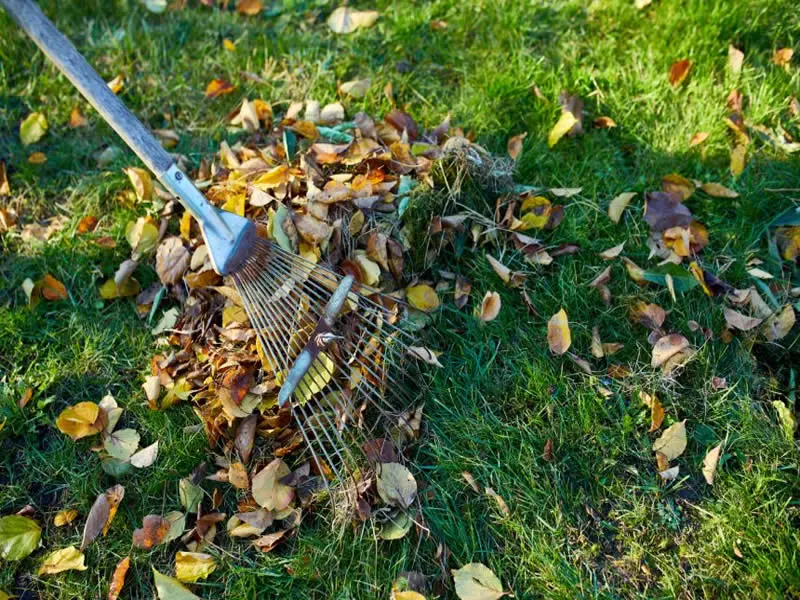 Fall Exterior Cleaning Facts