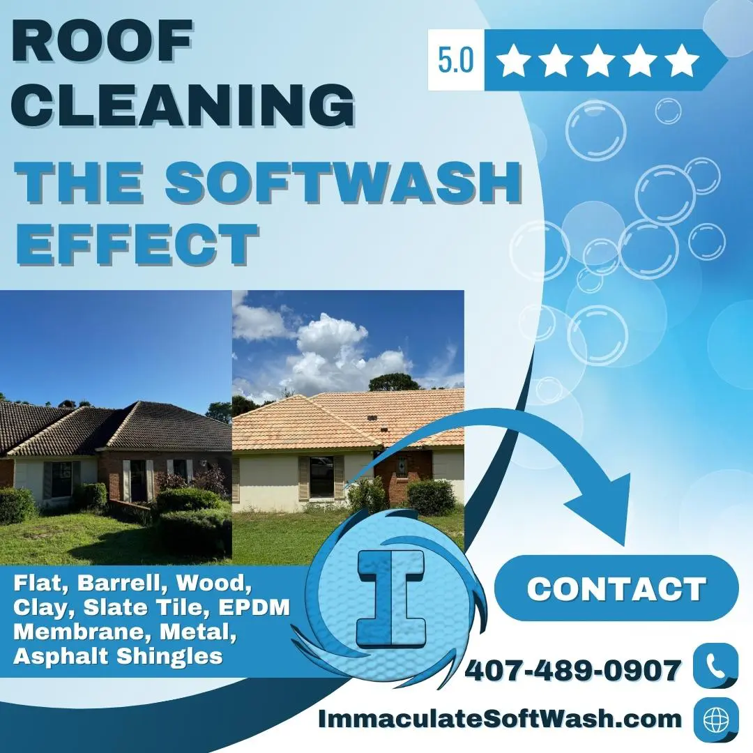 Why Should Spring Cleaning Include Your Roof?