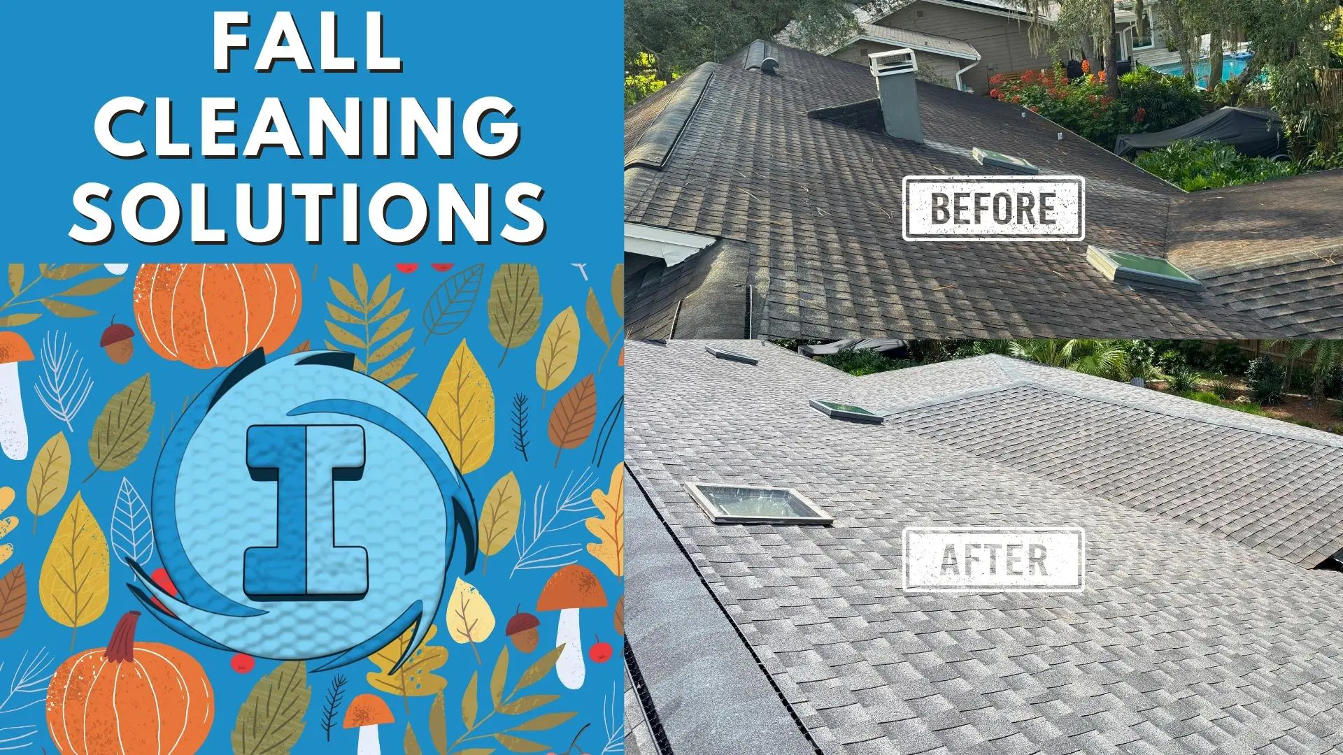 Protect Your Property This Fall: The Hidden Dangers of Dirty Gutters