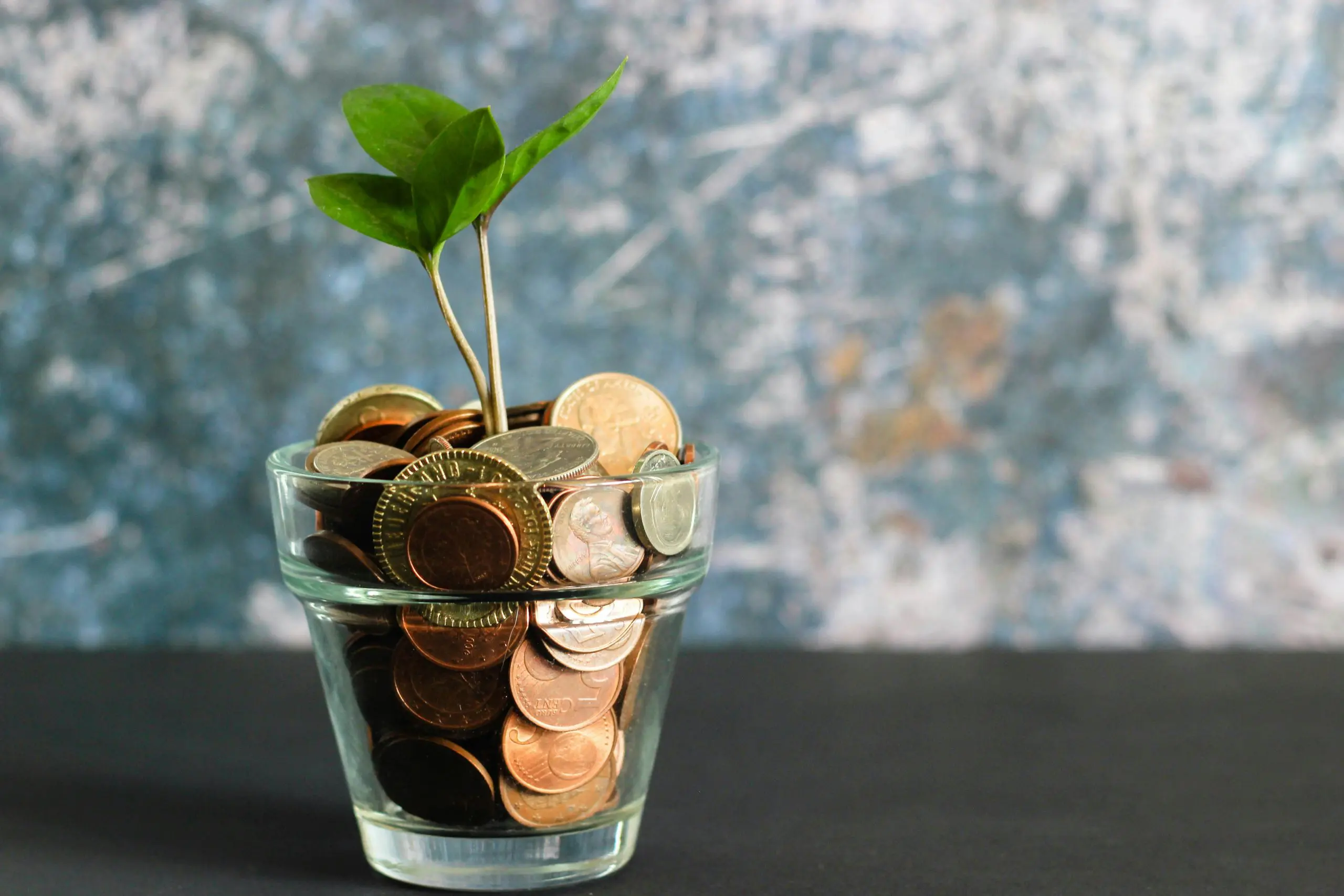 How Our Soft Washing Services Can Save You Money