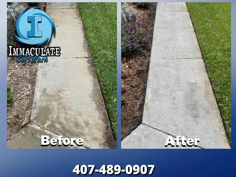 The Ultimate Guide to Immaculate Soft Washing. Before and After image