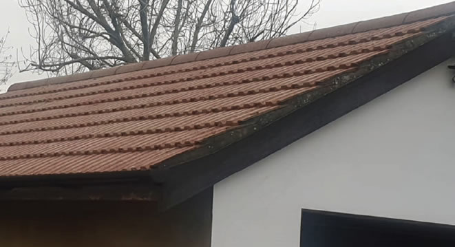 Immaculate Softwash After Roof Clean