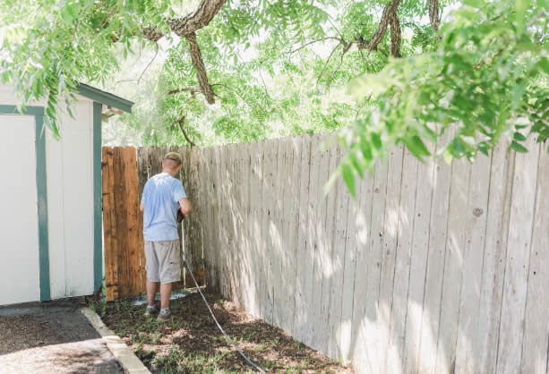 Softwashing a backyard fence