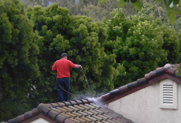 Softwashing a roof
