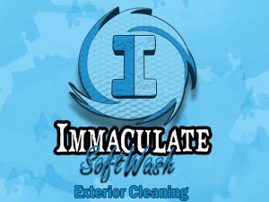 Read more about the article Welcome to Immaculate Softwash’s new website!
