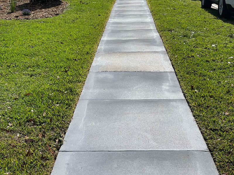 Ultimate Guide to Immaculate Softwash Sidewalk Cleaning