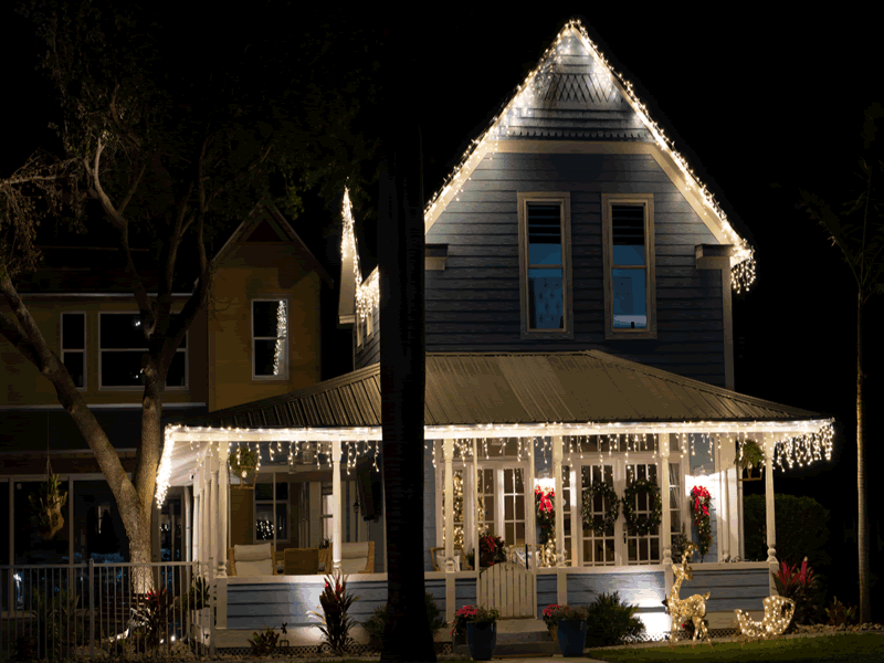immaculate softwash free christmas lights removal
