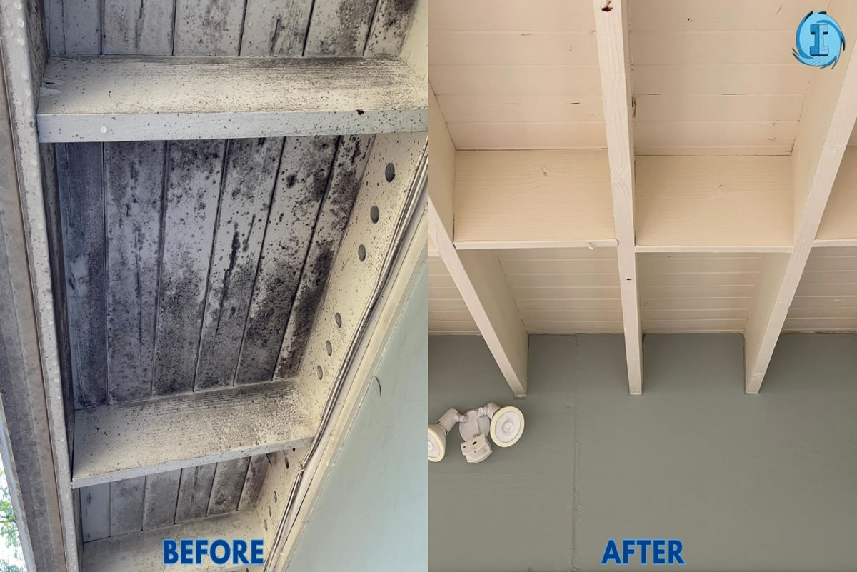 Ceiling before and after photos with soft wash cleaning from Immaculate SoftWash