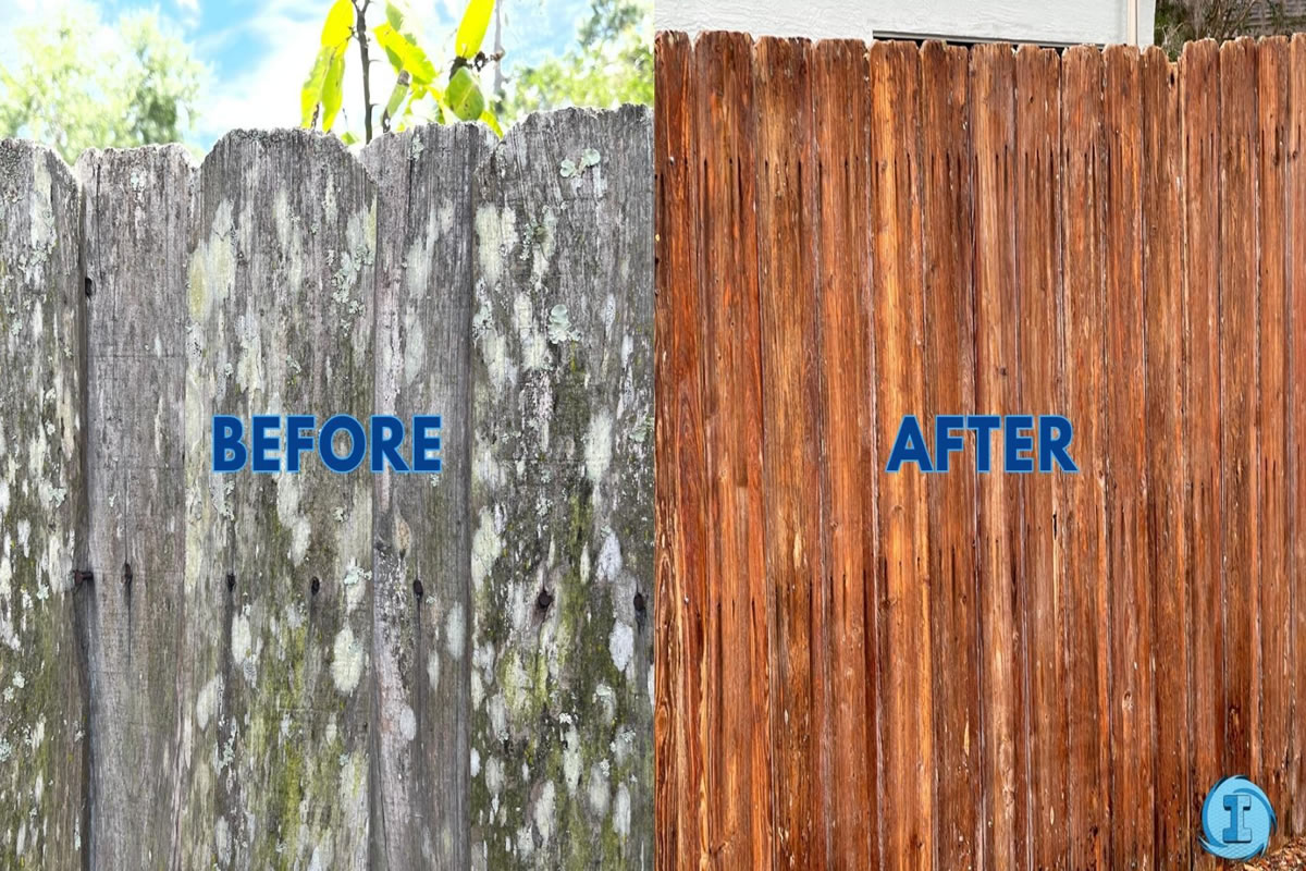 Fence before and after photos with soft wash fence cleaning from Immaculate SoftWash