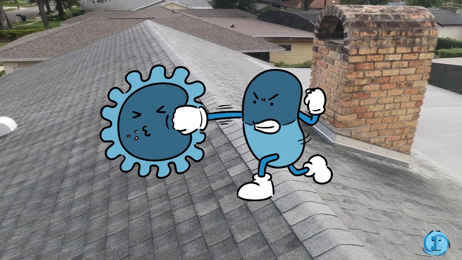 You are currently viewing Fall Roof Cleaning Essentials with Immaculate SoftWash