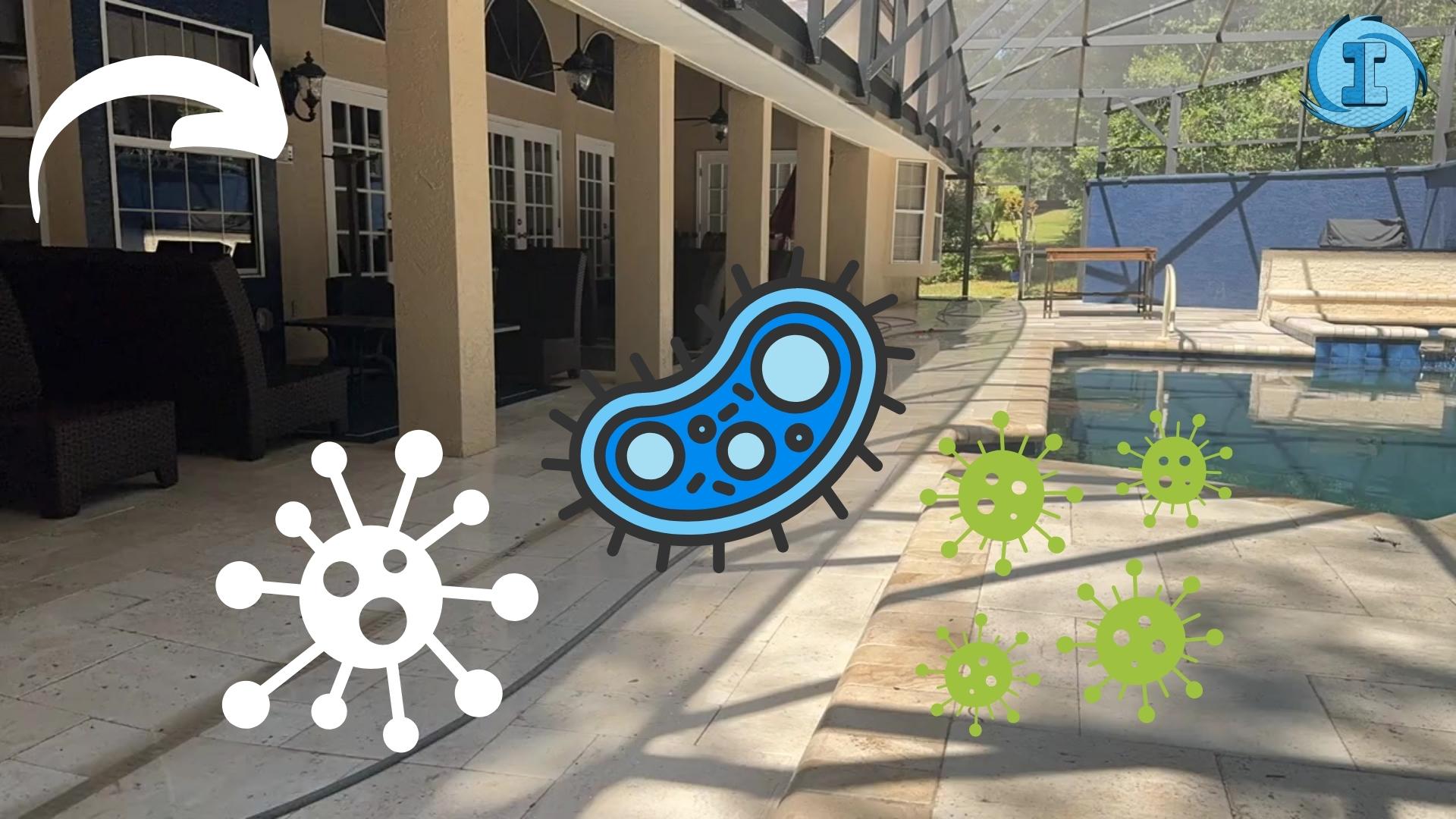 You are currently viewing Why Combat Mold Even When It’s “Cold” Outside?