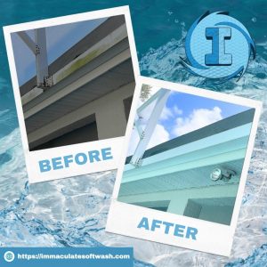 Read more about the article What Are Some of the Lesser-Known Side Effects of Mold on Roofs in Florida?