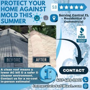 Read more about the article Summer Mold Removal: How Immaculate Softwash Can Help Protect Your Florida Roof
