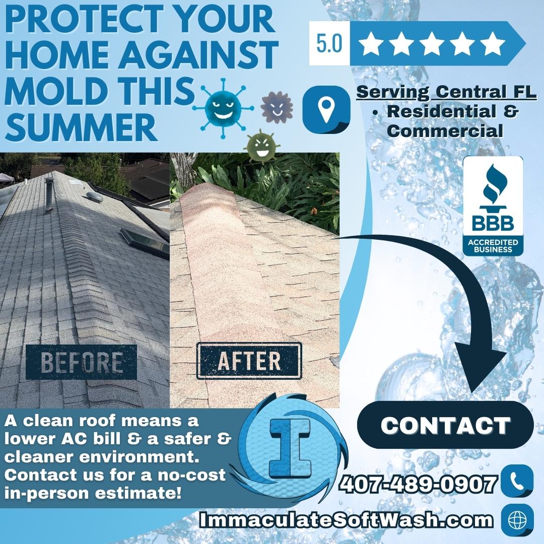 You are currently viewing Summer Mold Removal: How Immaculate Softwash Can Help Protect Your Florida Roof
