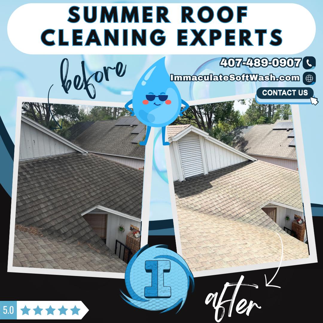You are currently viewing Why Is Summer Roof Cleaning Important?