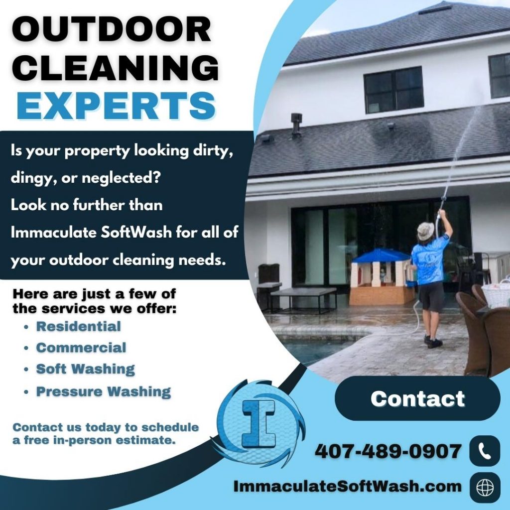 Summer Roof Cleaning & Outdoor Care: Why It Matters for Your Home or Business