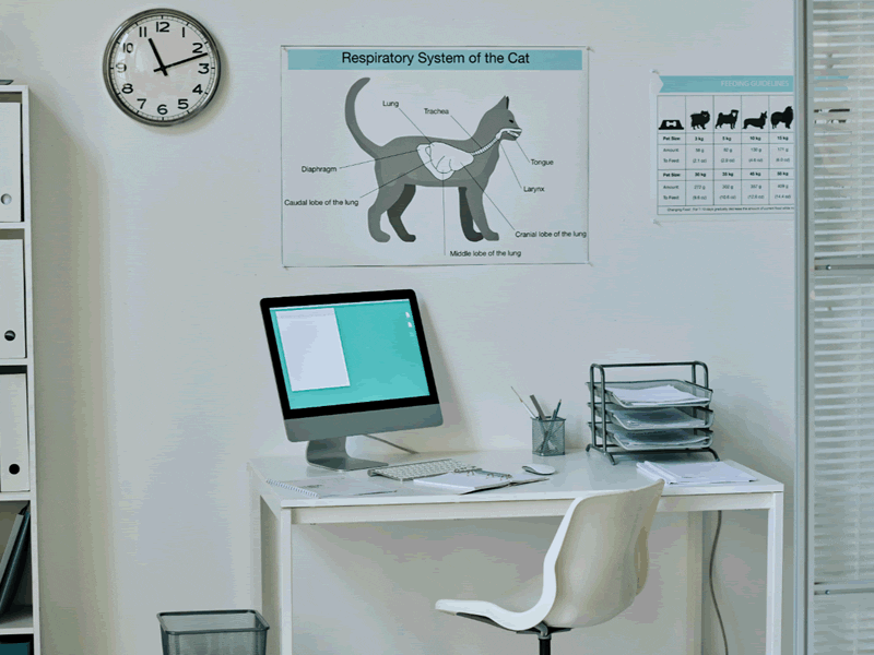 The Importance of Soft Washing Your Vet Clinic
